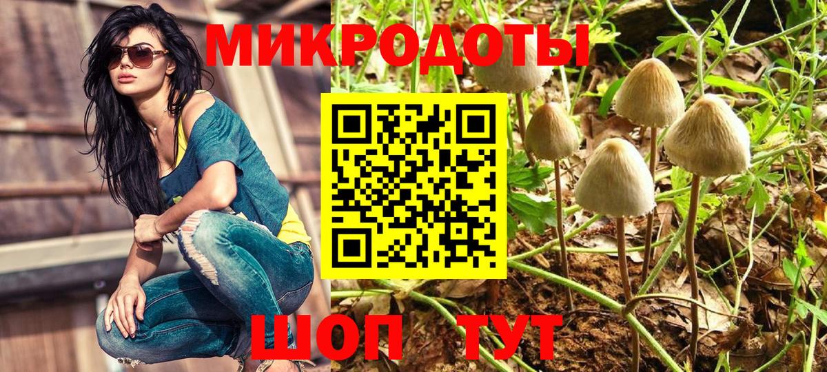Псилоцибиновые грибы MAGIC MUSHROOMS  Вход с VPN  Богданович 